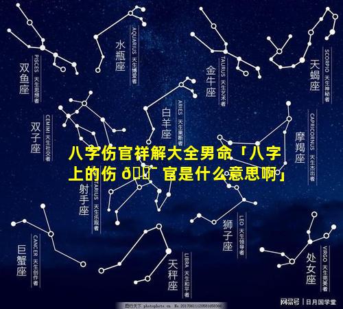 八字伤官祥解大全男命「八字上的伤 🐯 官是什么意思啊」